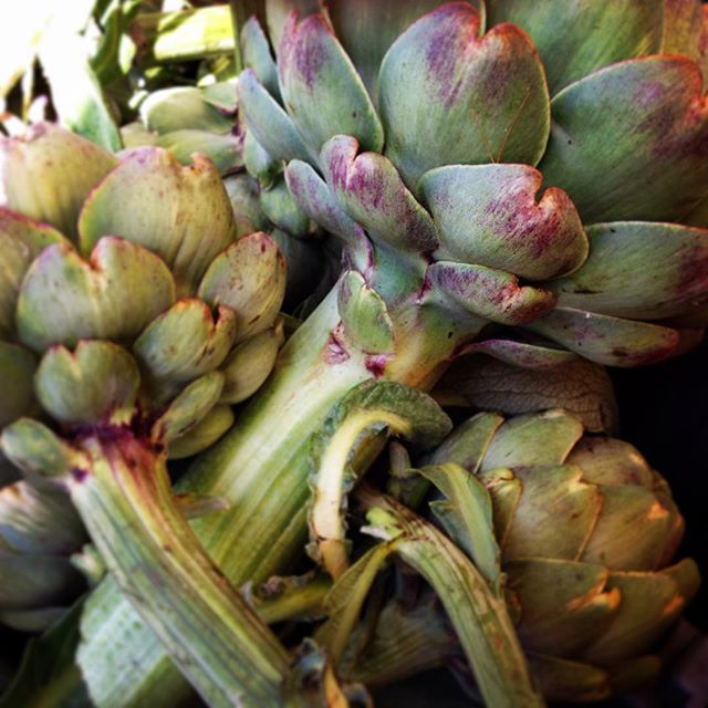 Artichokes at the Berkeley Farmer's Market.
