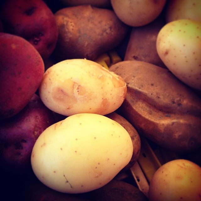 Potatoes at the BFM.