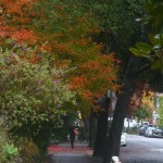 Walking in a fall rain.